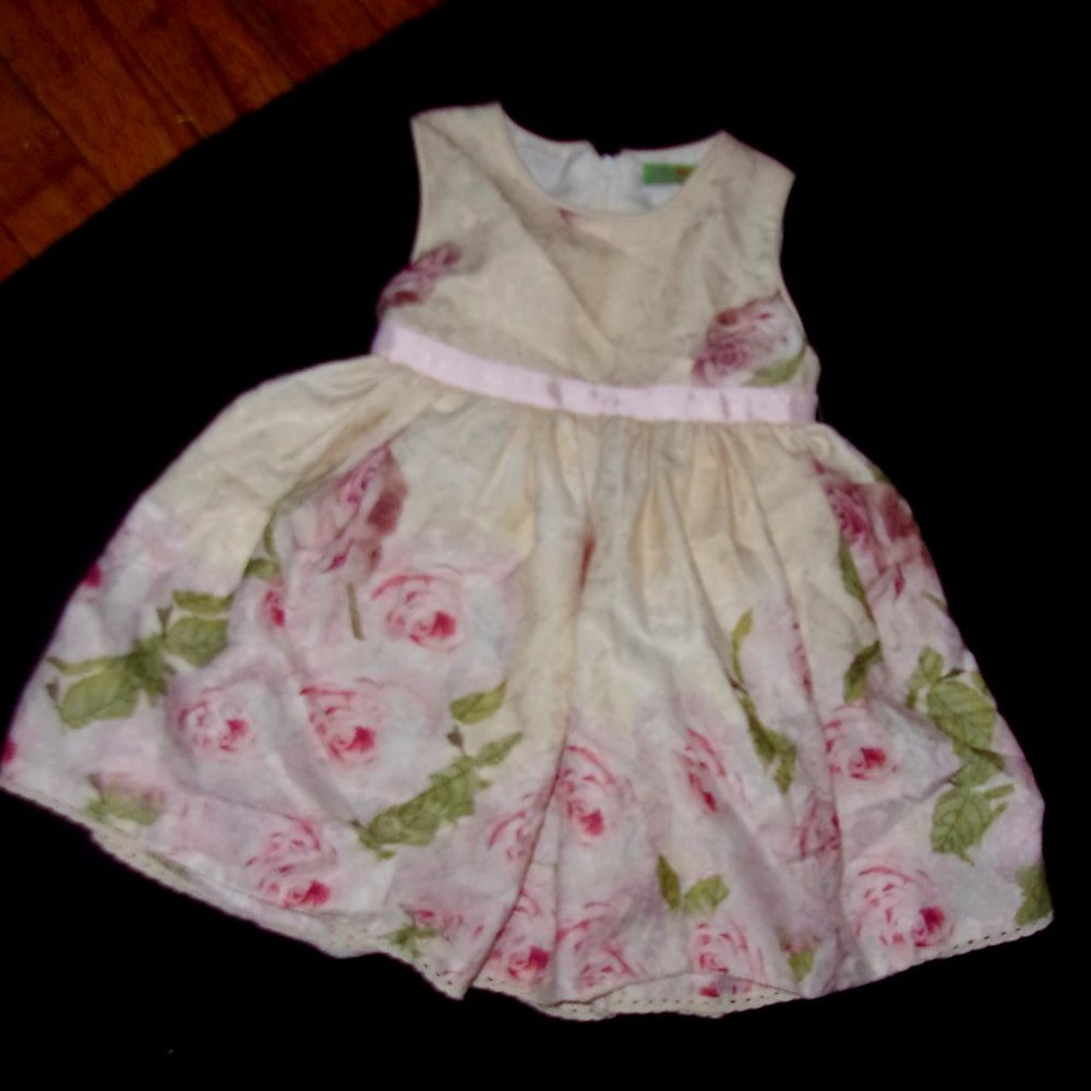 size 2  baby little girl fancy pretty dress cram white pink roses formal two
